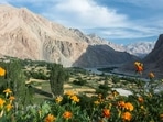 Ladakh to develop Sumoor desert, upgrade Nubra valley for tourists Ladakh to develop Sumoor desert, upgrade Nubra valley for tourists 