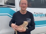 The kitten who was rescued from the wildfire, gets petted by its rescuer.&nbsp;