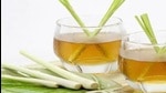 In India, lemongrass cultivation has become widely popular due to its fewer challenges in farming. (Pic for representation) In India, lemongrass cultivation has become widely popular due to its fewer challenges in farming. (Pic for representation)
