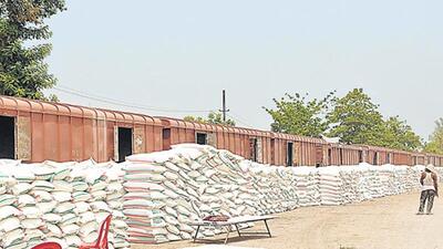 Russia will supply crop nutrients via a barter system avoiding dollar transactions due to US sanctions, as Russian importers will exchange fertilisers for various Indian commodities, including tea, raw materials and auto parts. (Representative use) Russia will supply crop nutrients via a barter system avoiding dollar transactions due to US sanctions, as Russian importers will exchange fertilisers for various Indian commodities, including tea, raw materials and auto parts. (Representative use)