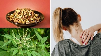 "Ayurveda is an ancient form of medicine that started in India. It uses nutrients, exercise, and meditation together to encourage good health. Combining certain nutrients and other supplements with modern medicine may be beneficial if you have joint pain," says Nutritionist Karishma Shah in her latest Instagram post. She adds that these natural treatments may help to ease some ofthe joint pain symptoms and help prevent progression. (Pexels, Pinterest) "Ayurveda is an ancient form of medicine that started in India. It uses nutrients, exercise, and meditation together to encourage good health. Combining certain nutrients and other supplements with modern medicine may be beneficial if you have joint pain," says Nutritionist Karishma Shah in her latest Instagram post. She adds that these natural treatments may help to ease some ofthe joint pain symptoms and help prevent progression. (Pexels, Pinterest)