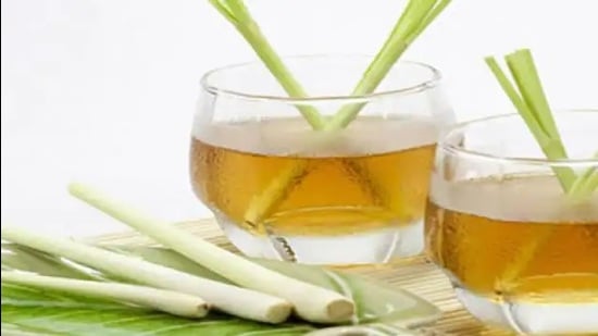 In India, lemongrass cultivation has become widely popular due to its fewer challenges in farming. (Pic for representation) In India, lemongrass cultivation has become widely popular due to its fewer challenges in farming. (Pic for representation)