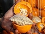 A man shows fake oranges filled with illegal drug pills. A man shows fake oranges filled with illegal drug pills.