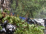 New Delhi: A commuter walks past an uprooted tree, during a dust storm and rainfall in New Delhi, Monday, May 30, 2022. (PTI Photo/Arun Sharma) New Delhi: A commuter walks past an uprooted tree, during a dust storm and rainfall in New Delhi, Monday, May 30, 2022. (PTI Photo/Arun Sharma)