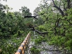 Uprooted trees and branches cover a street after a thunderstorm accompanied by rainfall, at KG Marg in New Delhi. Uprooted trees and branches cover a street after a thunderstorm accompanied by rainfall, at KG Marg in New Delhi.