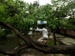 East and central parts of Delhi bore the maximum brunt of the storm that peppered the roads with broken tree branches. East and central parts of Delhi bore the maximum brunt of the storm that peppered the roads with broken tree branches. 