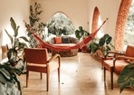 Home interior decor tips: Types of indoor plants to detox air around (Jonathan Borba ) Home interior decor tips: Types of indoor plants to detox air around (Jonathan Borba )