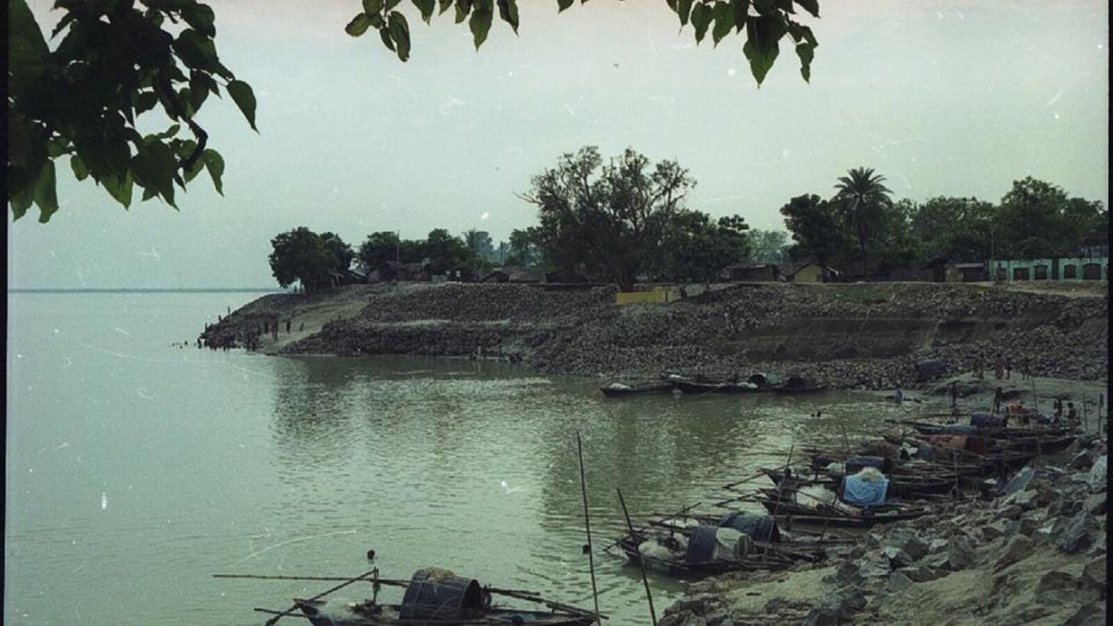 Review: Field Notes from a Waterborne Land by Parimal Bhattacharya