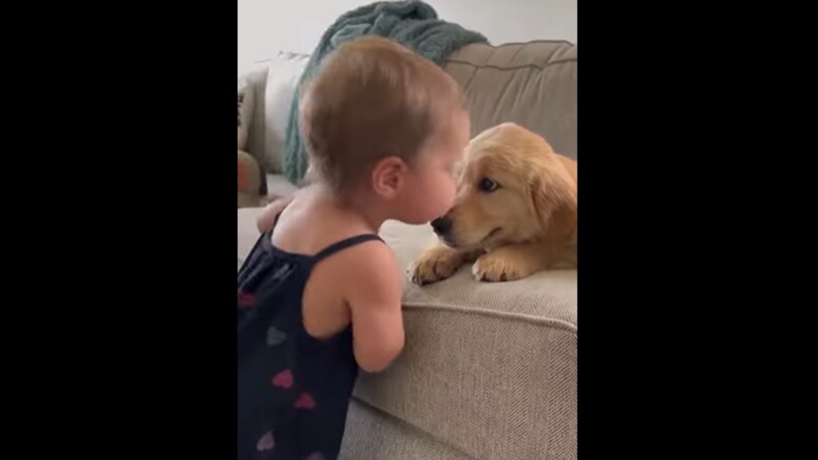 Toddler showers dog with kisses, video is too cute to handle | Trending ...