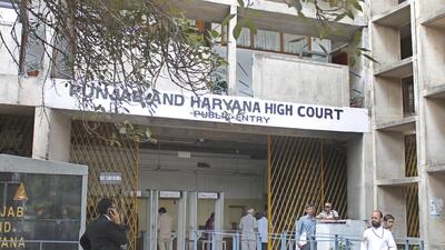Explain basis to withdraw security of over 400 protectees: Punjab and Haryana high court to Punjab Explain basis to withdraw security of over 400 protectees: Punjab and Haryana high court to Punjab