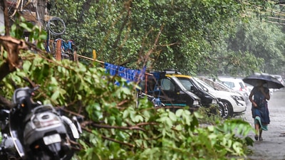New Delhi: A commuter walks past an uprooted tree, during a dust storm and rainfall in New Delhi, Monday, May 30, 2022. (PTI Photo/Arun Sharma) New Delhi: A commuter walks past an uprooted tree, during a dust storm and rainfall in New Delhi, Monday, May 30, 2022. (PTI Photo/Arun Sharma)