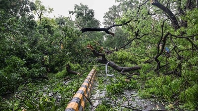 Uprooted trees and branches cover a street after a thunderstorm accompanied by rainfall, at KG Marg in New Delhi. (PTI) Uprooted trees and branches cover a street after a thunderstorm accompanied by rainfall, at KG Marg in New Delhi. (PTI)