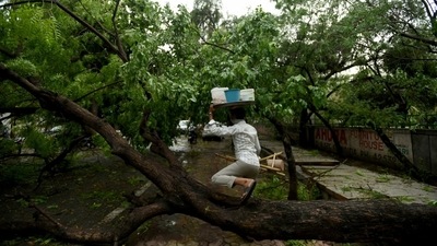East and central parts of Delhi bore the maximum brunt of the storm that peppered the roads with broken tree branches. People shared videos and images on social media platforms showing fallen trees, damaged vehicles, window panes and structures. (Photo by Ajay Aggarwal/ Hindustan Times) East and central parts of Delhi bore the maximum brunt of the storm that peppered the roads with broken tree branches. People shared videos and images on social media platforms showing fallen trees, damaged vehicles, window panes and structures. (Photo by Ajay Aggarwal/ Hindustan Times)