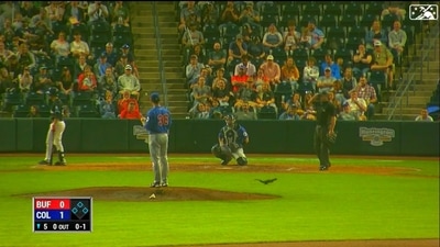 The image is taken from the video posted on Twitter by Minor League Baseball. (Twitter/@MiLB) The image is taken from the video posted on Twitter by Minor League Baseball. (Twitter/@MiLB)