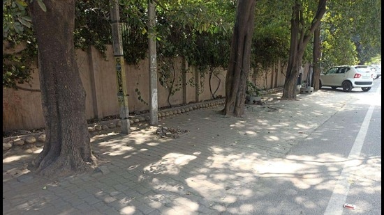 The petition against installation of tiles and pouring of concrete around trees has been filed by the Council of Engineers. The Ludhiana Improvement Trust superintendent engineer did not turn up for two consecutive hearings. (HT File)