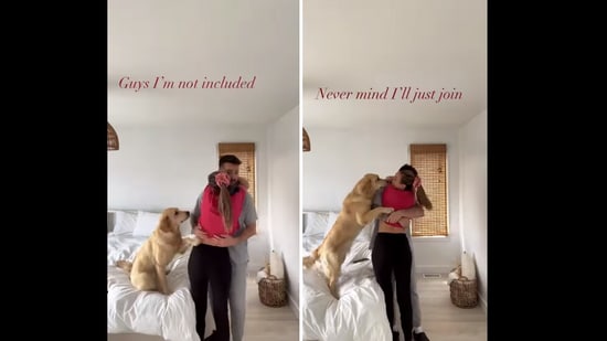 The golden retriever dog named Fira asking her pet parents to include her in their hug. Fira's video was shared on Instagram. &nbsp;(Instagram/@fira_the_piranha)