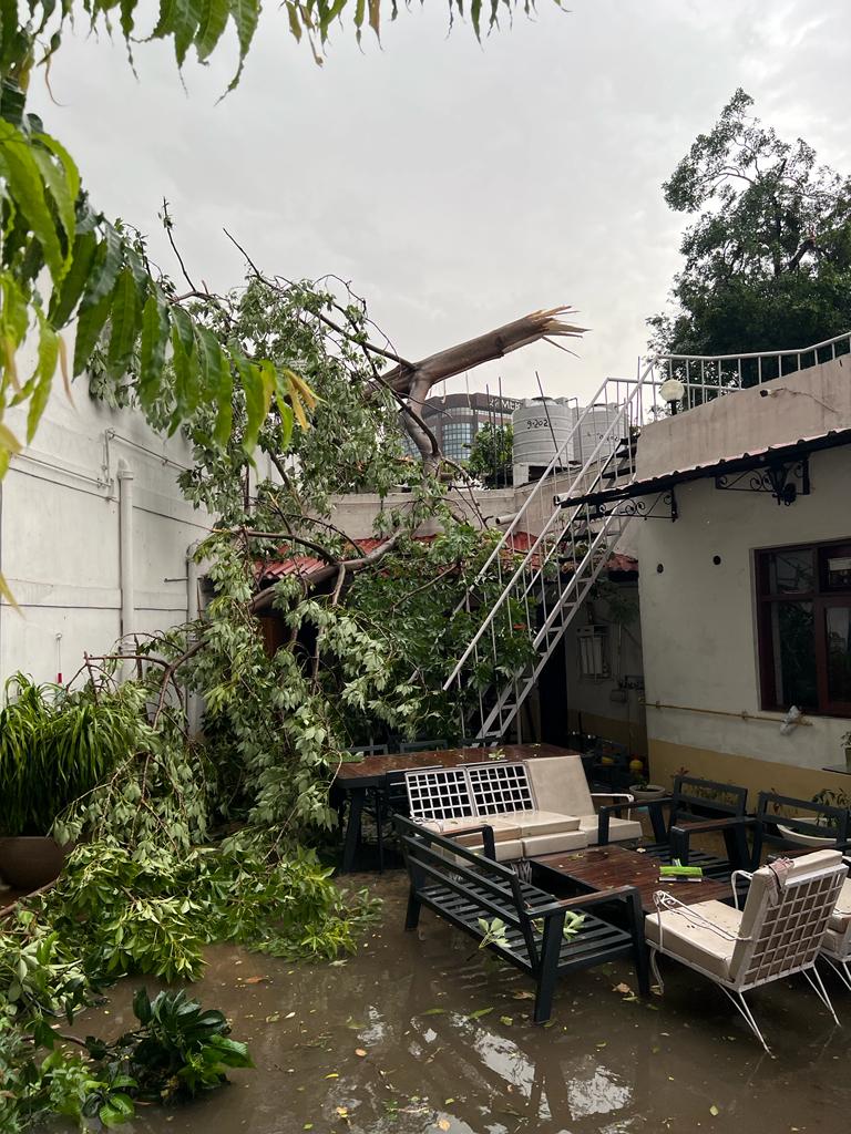 Backyard of Verma's residence on Janpath.