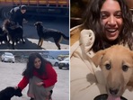 Bhumi Pednekar has shared video of her hanging out with dogs. Bhumi Pednekar has shared video of her hanging out with dogs.