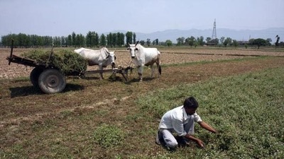 The device is capable of detecting soil health in just 90 seconds through an embedded mobile application (For Representation) The device is capable of detecting soil health in just 90 seconds through an embedded mobile application (For Representation)