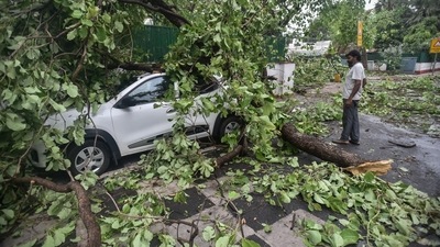 A view of a tree uprooted and fallen on a car at Harish Chander Mathur Lane following heavy thunderstorms and rain in New Delhi. (Photo by Raj K Raj/ Hindustan Times) A view of a tree uprooted and fallen on a car at Harish Chander Mathur Lane following heavy thunderstorms and rain in New Delhi. (Photo by Raj K Raj/ Hindustan Times)