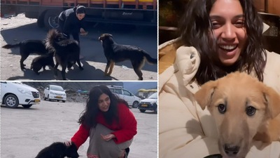 Bhumi Pednekar has shared video of her hanging out with dogs.