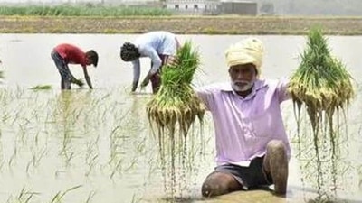 The 10th installment of the PM-Kisan programme was released on January 1, 2022. The 10th installment of the PM-Kisan programme was released on January 1, 2022.