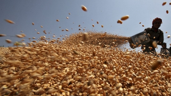 A wheat shortage is threatening to push low-income countries to the brink of hunger.&nbsp;(Reuters)