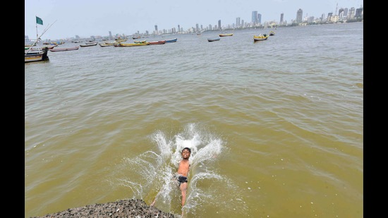 Both official long-range forecasts issued in April and May indicate a high possibility of above-normal rainfall in Maharashtra this monsoon season (Anshuman Poyrekar/HT PHOTO)