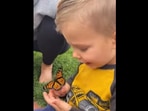 The baby boy looks at the butterfly and starts crying because of how much love he feels for it. (Instagram/@whatdoesnotexist) The baby boy looks at the butterfly and starts crying because of how much love he feels for it. (Instagram/@whatdoesnotexist)