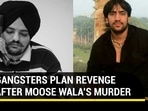 GANGSTERS PLAN REVENGE AFTER MOOSE WALA'S MURDER