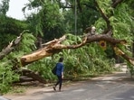 New Delhi: A tree fallen in Monday's thunderstorm, near Patiala House Courts in New Delhi, Tuesday, May 31, 2022. (PTI Photo/Kamal Kishore) New Delhi: A tree fallen in Monday's thunderstorm, near Patiala House Courts in New Delhi, Tuesday, May 31, 2022. (PTI Photo/Kamal Kishore)