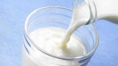 Milk is considered a complete food not without a reason. It is a storehouse of essential nutrients like protein, vitamin D, B vitamins, calcium, zinc, potassium, vitamin A and is no wonder considered important for a child's growth. However, experts say drinking milk is important at every age as it helps maintain your heart health, bone health and muscle strength. On the occasion of World Milk Day, Himanshi Bhatia, Certified Clinical Nutritionist & Consultant talks about the many benefits of adding milk to your diet. Milk is considered a complete food not without a reason. It is a storehouse of essential nutrients like protein, vitamin D, B vitamins, calcium, zinc, potassium, vitamin A and is no wonder considered important for a child's growth. However, experts say drinking milk is important at every age as it helps maintain your heart health, bone health and muscle strength. On the occasion of World Milk Day, Himanshi Bhatia, Certified Clinical Nutritionist & Consultant talks about the many benefits of adding milk to your diet.