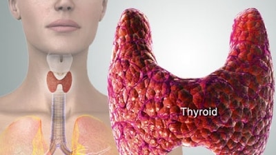 Thyroid: Types of disorders due to imbalance in thyroid hormones, risk factors, symptoms, protocol for testing of thyroid diseases (Twitter/WebMD) Thyroid: Types of disorders due to imbalance in thyroid hormones, risk factors, symptoms, protocol for testing of thyroid diseases (Twitter/WebMD)