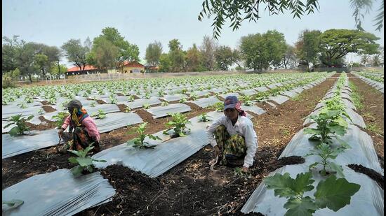 Farmers of Ahmednagar village begin five-day protest | Mumbai news ...