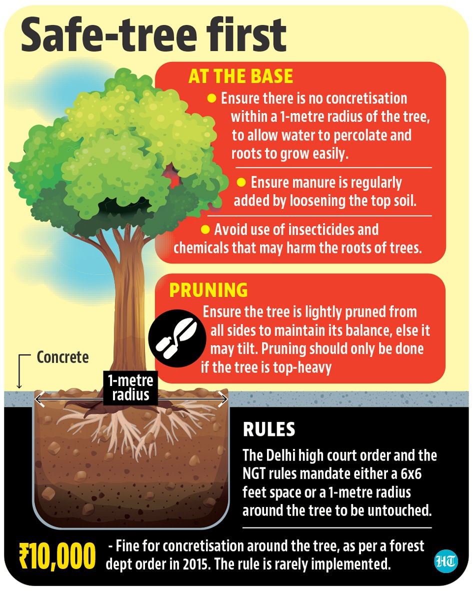 Safe-tree first Safe-tree first