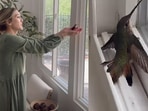 The split image shows the trapped hummingbird on the right and the woman rescuing it on the left. (Instagram/@caitlin.teal) The split image shows the trapped hummingbird on the right and the woman rescuing it on the left. (Instagram/@caitlin.teal)