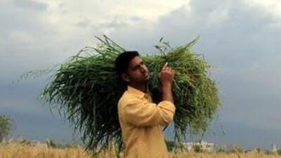 Jalandhar district administration on Wednesday set free 46 acres of land from illegal occupants in Umrewal Billa village of Nakodar subdivision. (HT Image for representational purpose)