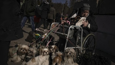 Antonina, 84, sits in a wheelchair after being evacuated with her 12 dogs from Irpin, at a triage point in Kyiv, Ukraine, Friday, March 11, 2022. (AP Photo/Vadim Ghirda) Antonina, 84, sits in a wheelchair after being evacuated with her 12 dogs from Irpin, at a triage point in Kyiv, Ukraine, Friday, March 11, 2022. (AP Photo/Vadim Ghirda)