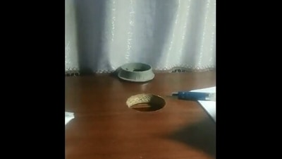 The image is taken from the viral Reddit video involving a cat and a cable grommet. (Reddit/@wanfuda)