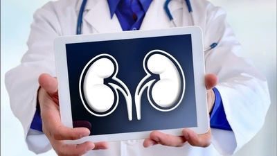 4 health tips to help you slow down the progression of kidney diseases (Twitter/NJUrology) 4 health tips to help you slow down the progression of kidney diseases (Twitter/NJUrology)