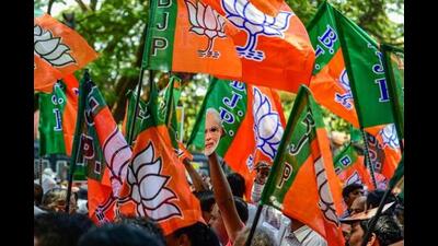 The BJP will field 14 candidates for the post of chairmen, and JJP four (Narwana, Tohana, Dabwali and Nuh). (PTI)