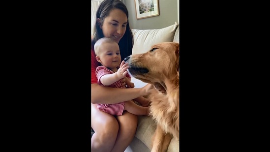 The image, taken from the viral Instagram video, shows the baby and the dog.(Instagram/@thegoodboyduo)