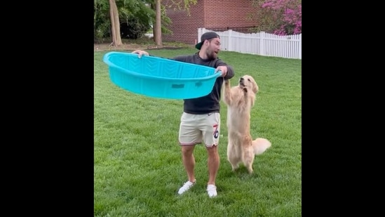 The doggo with its human and the kiddie pool in the video.(Instagram/@drakethepupstar)
