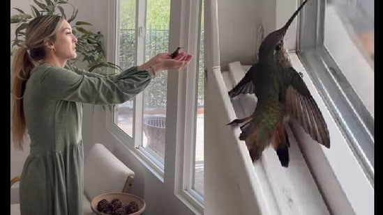 The split image shows the trapped hummingbird on the right and the woman rescuing it on the left.&nbsp;(Instagram/@caitlin.teal)