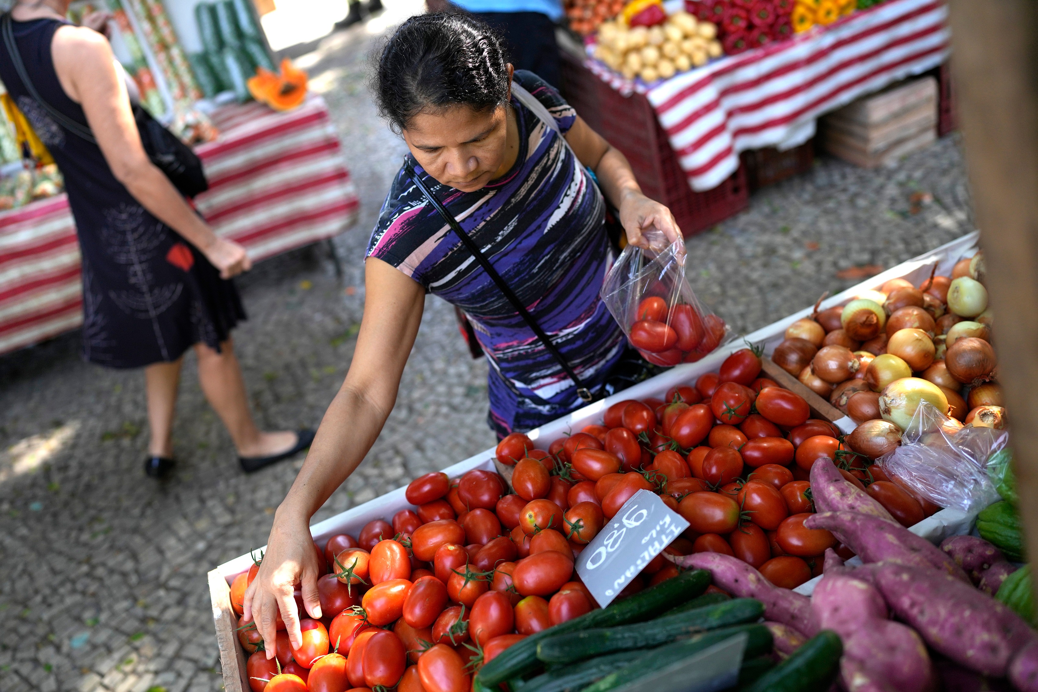 Independent vegetable shops are now pricing tomatoes at around Rs. 90 a kilogram in the Karnataka capital. (AP Photo/Silvia Izquierdo) (Image for representation only) (AP) Independent vegetable shops are now pricing tomatoes at around Rs. 90 a kilogram in the Karnataka capital. (AP Photo/Silvia Izquierdo) (Image for representation only) (AP)