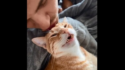 The image, taken from the Reddit video, show a cat and its human. (Reddit/@hmuberto)