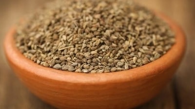 Ajwain: It is great for acidity and flatulence. It is excellent for digestion and is an effective anti-acid agent. (Pinterest) Ajwain: It is great for acidity and flatulence. It is excellent for digestion and is an effective anti-acid agent. (Pinterest)