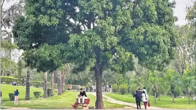 This tree in south Delhi’s Deer Park generously exudes its happy-go-lucky temperament throughout the vicinity. (Mayank Austen Soofi) This tree in south Delhi’s Deer Park generously exudes its happy-go-lucky temperament throughout the vicinity. (Mayank Austen Soofi)