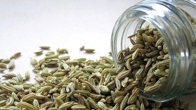 Fennel seeds water: Having 1 tsp of fennel seeds with warm water will help you get relief from acidity and symptoms like heartburn. (Pixabay) Fennel seeds water: Having 1 tsp of fennel seeds with warm water will help you get relief from acidity and symptoms like heartburn. (Pixabay)