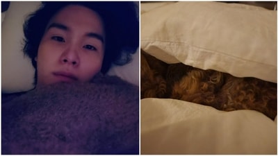 BTS: Suga has shared a new video of his pet dog Holly. BTS: Suga has shared a new video of his pet dog Holly.